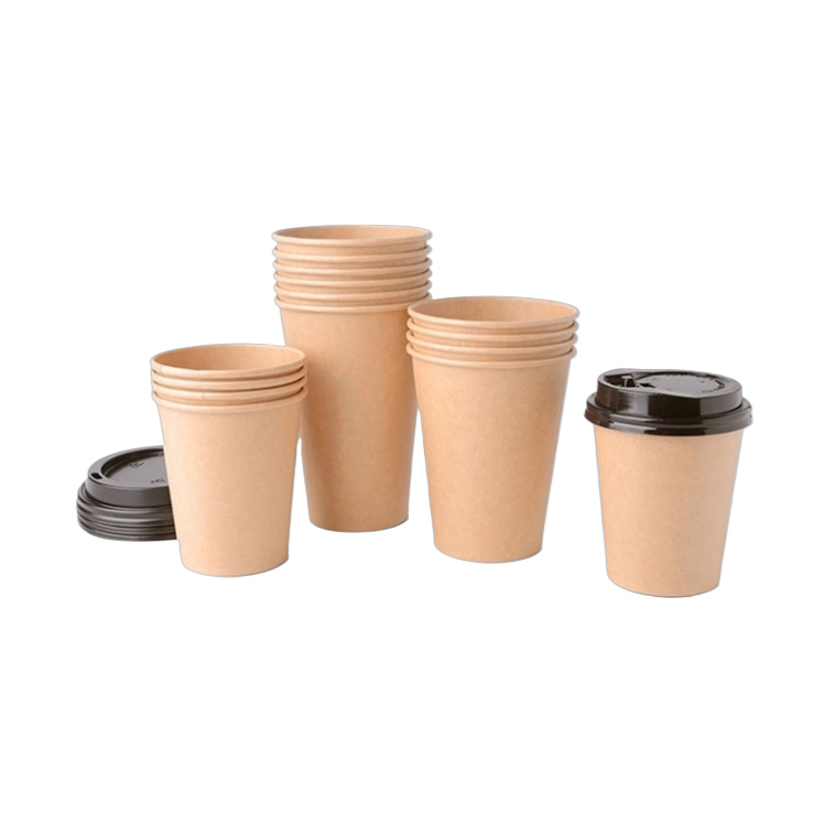 Paper Cup